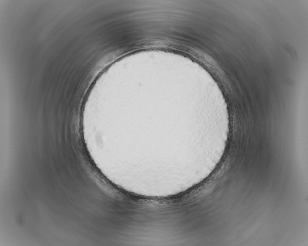 X0000110871234200907301406