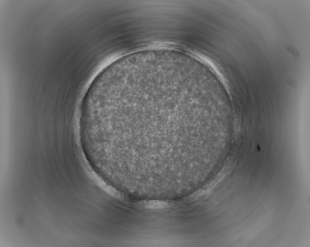 X0000110871235200907301406