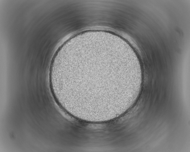 X0000110871237200907301406