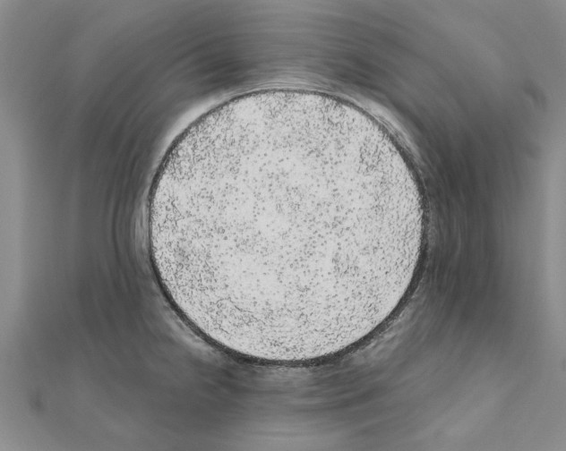 X0000110871238200907301406