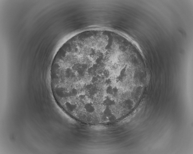 X0000110871239200907301406