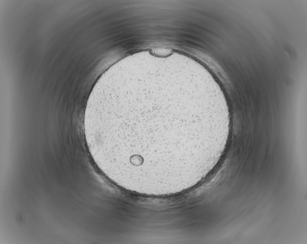 X0000110871241200907301406