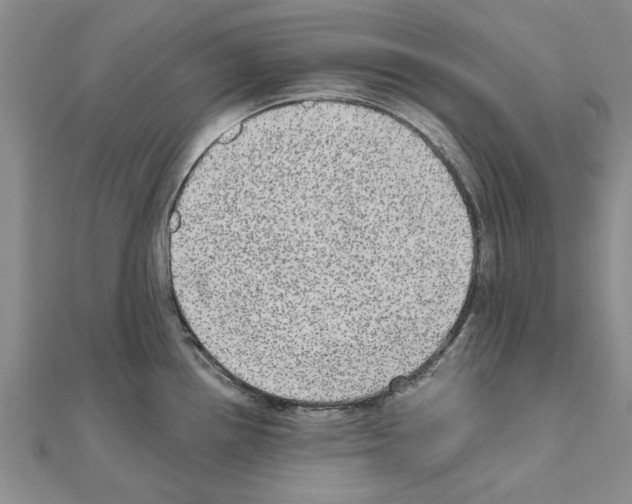 X0000110871242200907301406