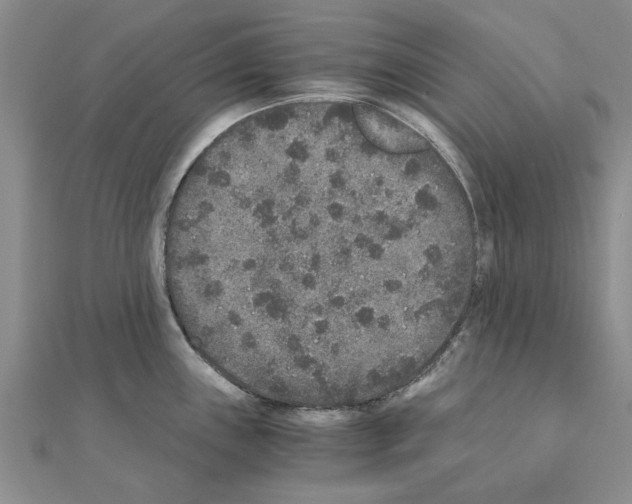 X0000110871243200907301406