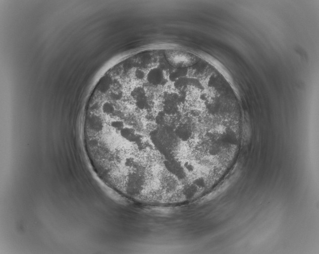 X0000110871245200907301406