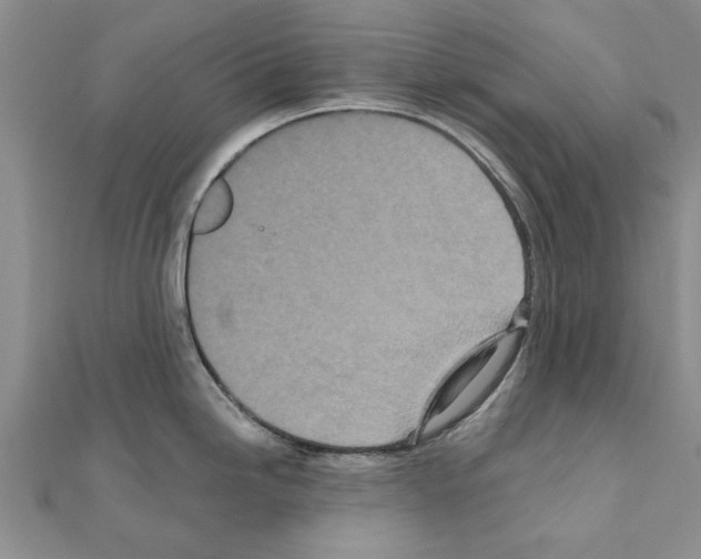 X0000110871246200907301406