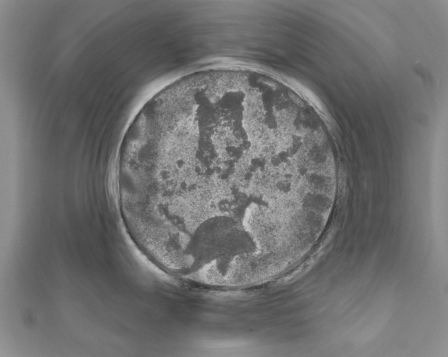 X0000110871247200907301406