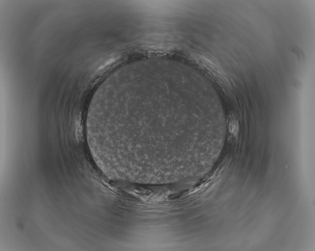 X0000110871252200907301406