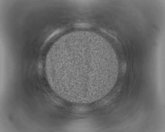 X0000110871254200907301406