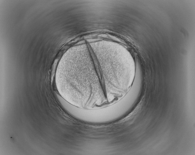 X0000110871257200907301406