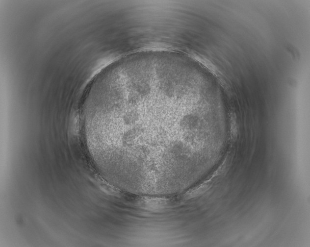 X0000110871258200907301406