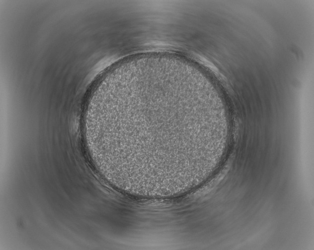 X0000110871259200907301406