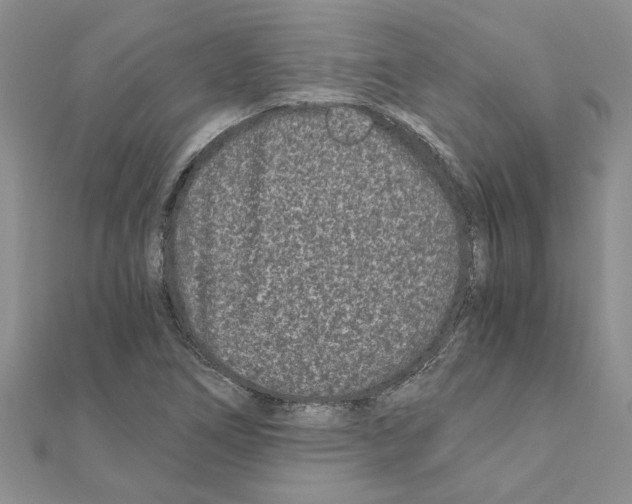 X0000110871266200907301406