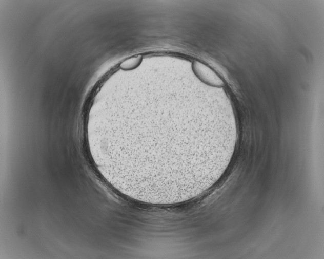 X0000110871270200907301405