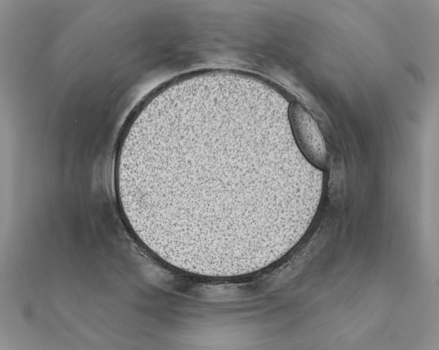 X0000110871272200907301405