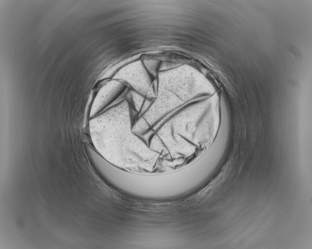 X0000110871273200907301405