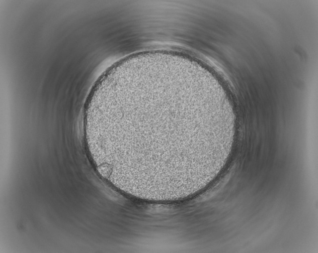 X0000110871275200907301405