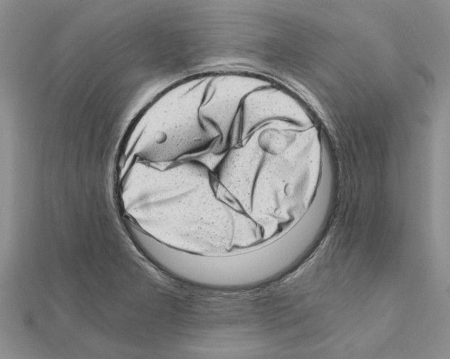 X0000110871277200907301405