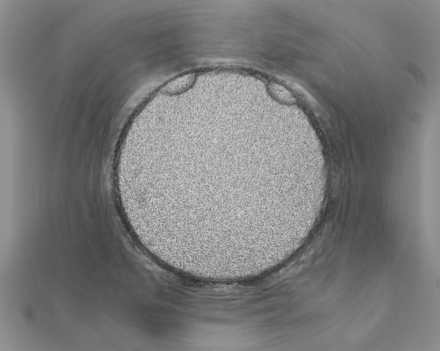 X0000110871279200907301405