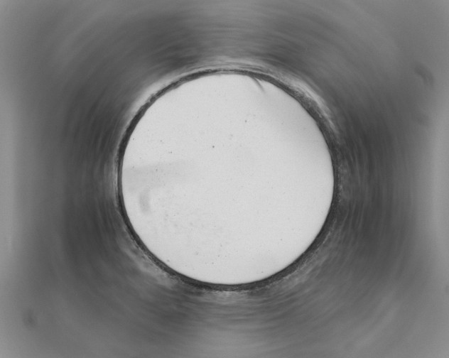 X0000110871280200907301405