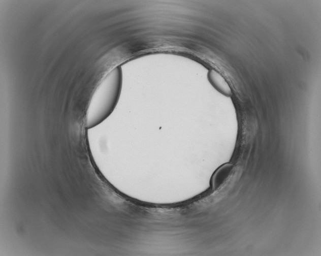 X0000110871281200907301405