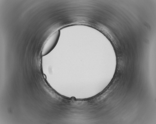 X0000110871284200907301405