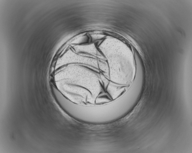 X0000110871285200907301405