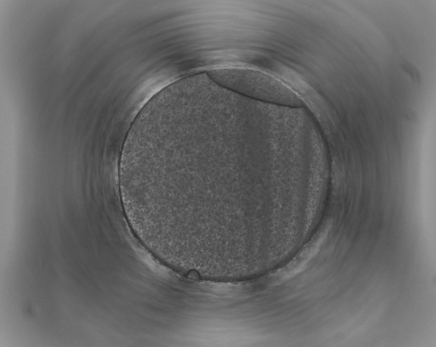 X0000110871289200907301405