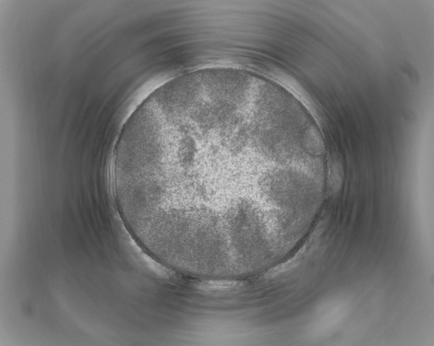 X0000110871290200907301405