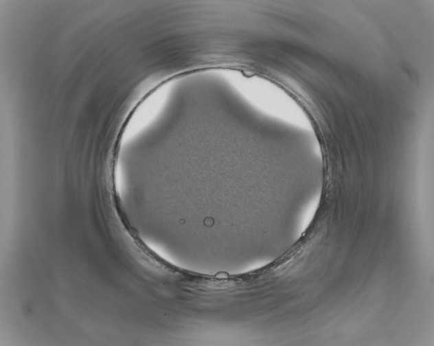 X0000110871291200907301405