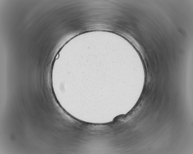 X0000110871293200907301405