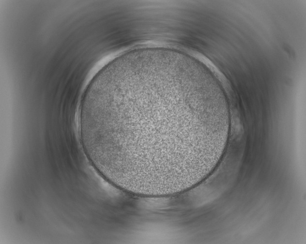 X0000110871294200907301405