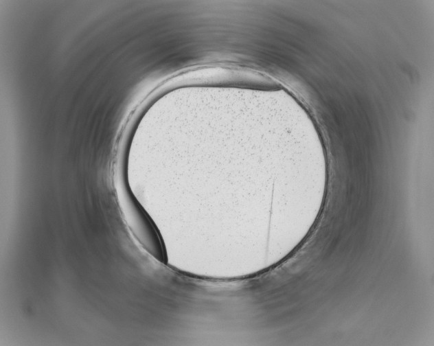 X0000110871296200907301405