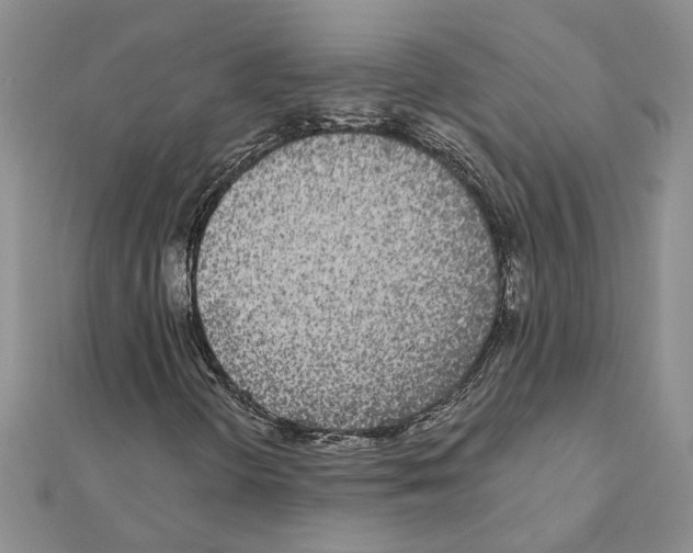 X0000110871298200907301404