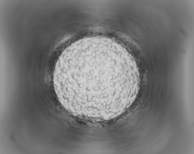 X0000110871302200907301404