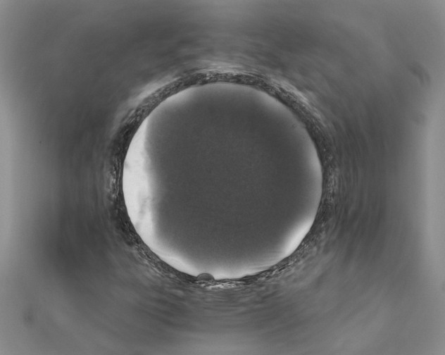 X0000110871303200907301405