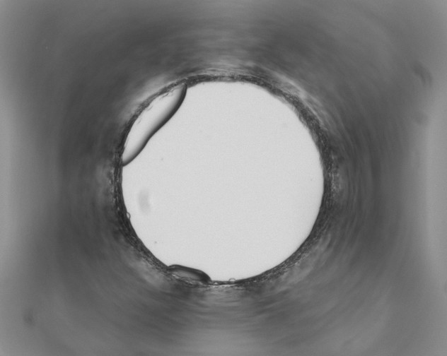 X0000110871304200907301405