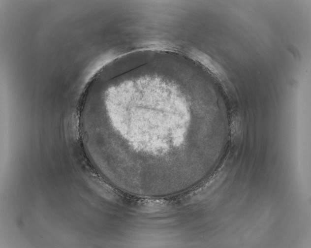 X0000110871310200907301405