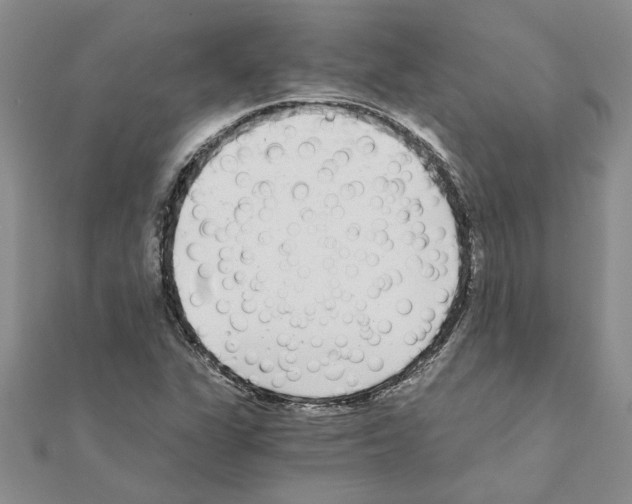 X0000110871311200907301405