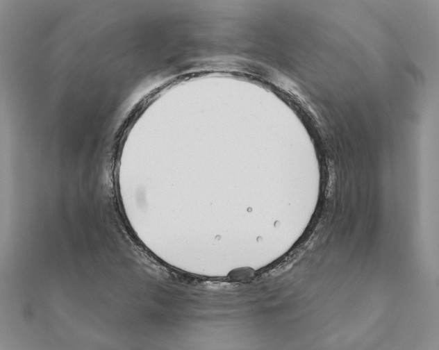 X0000110871312200907301405