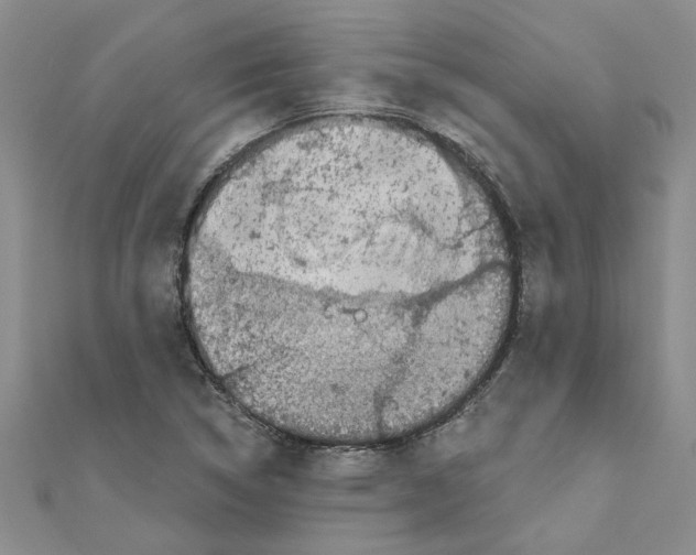 X0000110871314200907301405