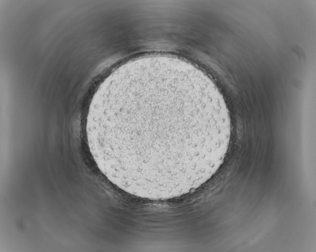 X0000110871315200907301405