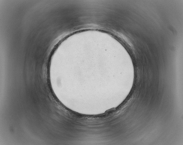 X0000110871318200907301405