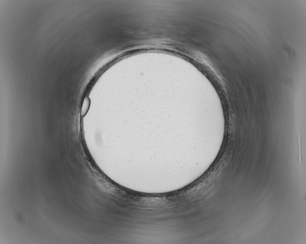 X0000110871320200907301405