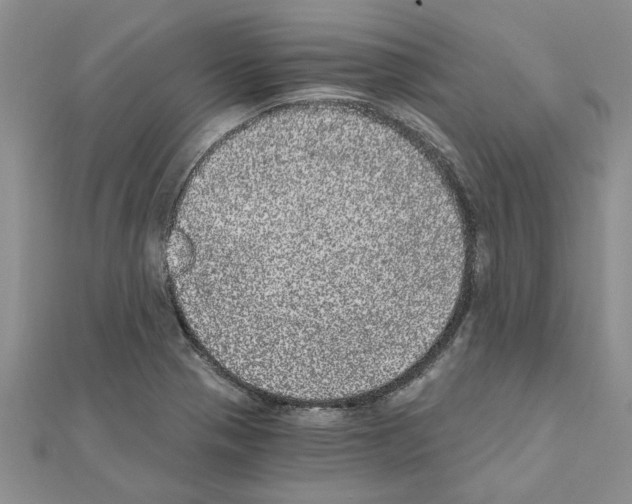 X0000110871321200907301405