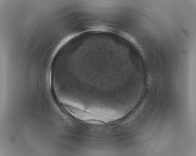 X0000110871323200907301405