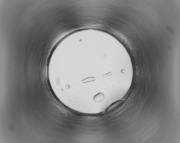 X0000110871324200907301405