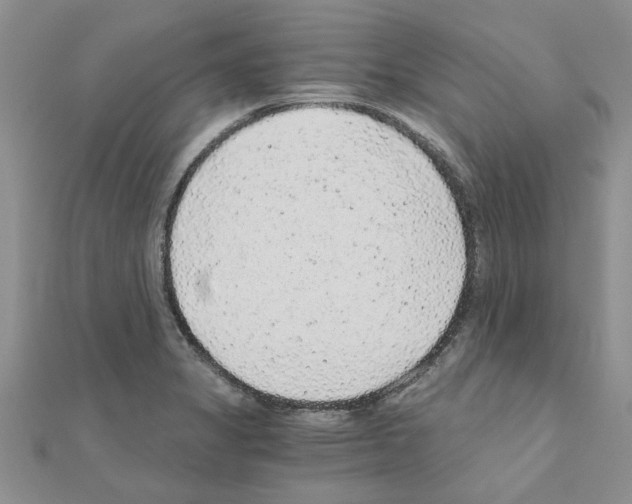 X0000110871325200907301405