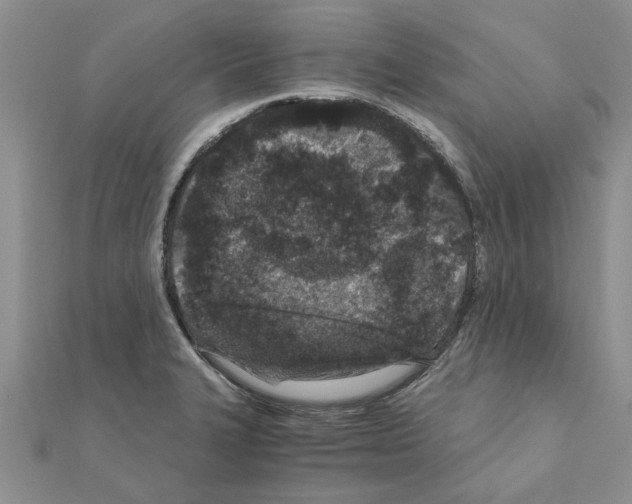 X0000110871327200907301405