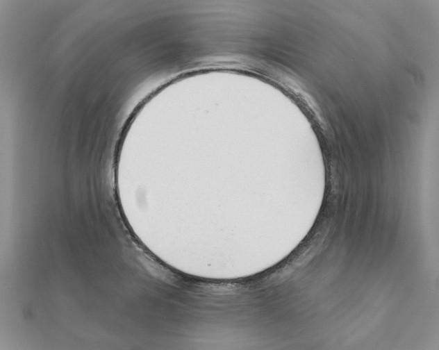 X0000110871328200907301405